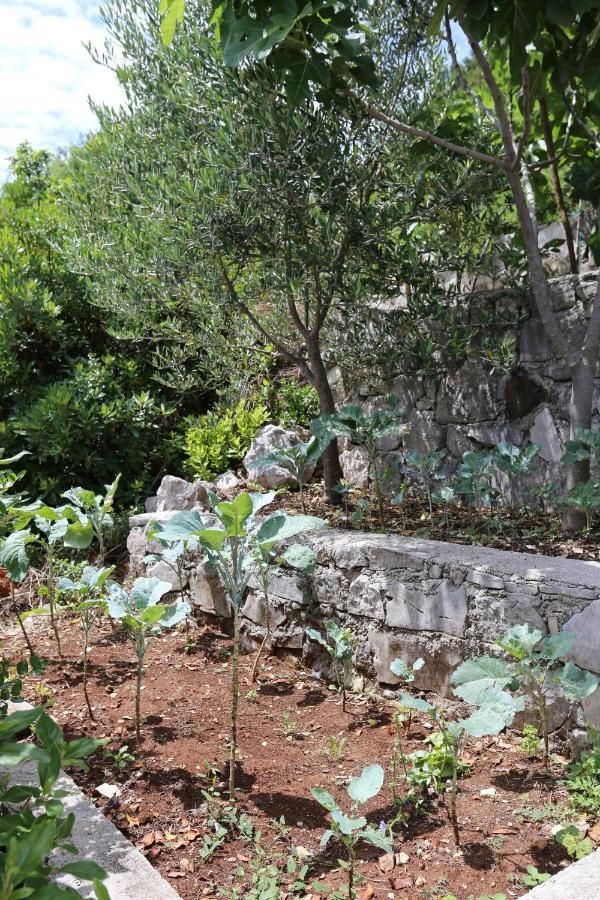 Apartments By The Sea Kabli, Peljesac - 10221 Brijesta Exterior photo