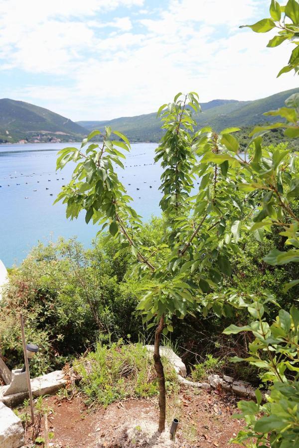 Apartments By The Sea Kabli, Peljesac - 10221 Brijesta Exterior photo